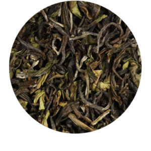 Darjeeling Arya First Flush Bio 500g