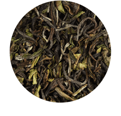 Darjeeling Arya First Flush Bio 500g