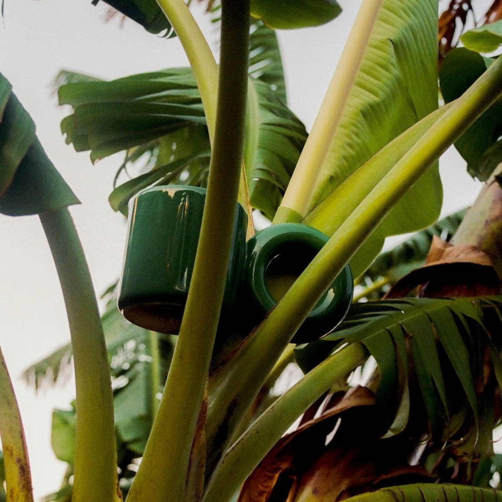 Kubek UCHO Jungle Malwina Konopacka