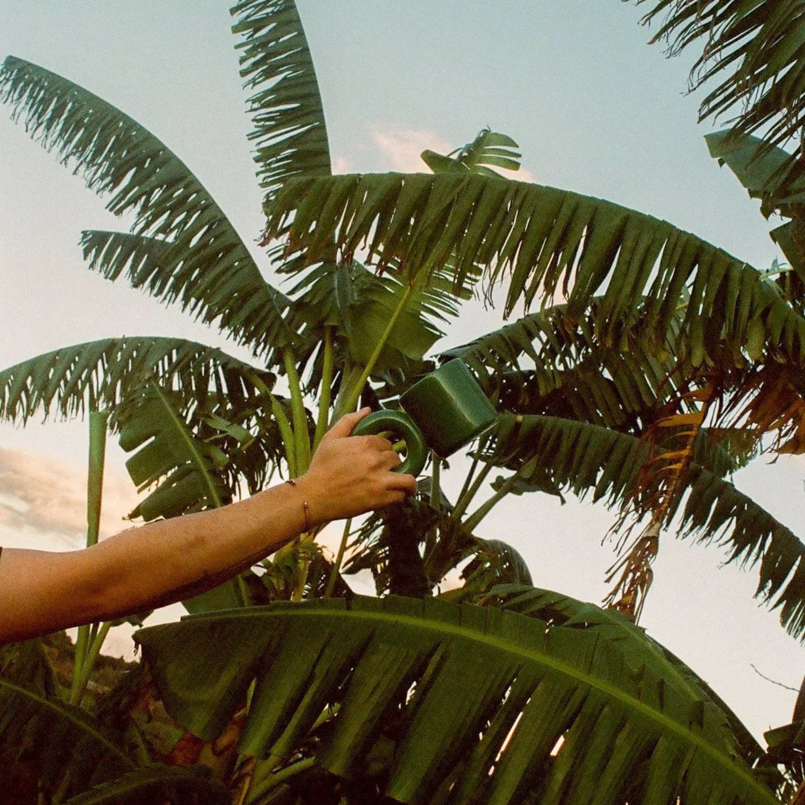 Kubek UCHO Jungle Malwina Konopacka